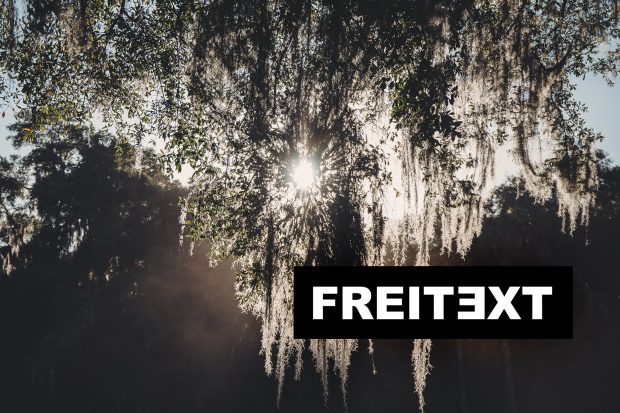 freitext-welt
