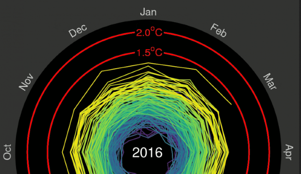 Aufgedreht: Klicken Sie auf das Bild, um das animierte Gif der globalen Temperaturen zu sehen. © Climate Lab Book/@edhawkins