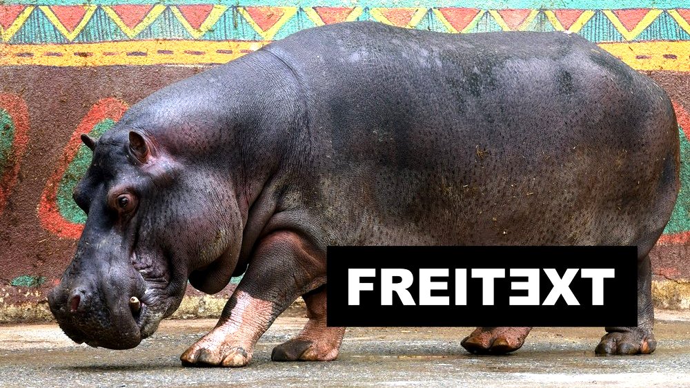Zoo: Gedanken im Gehege - Freitext
