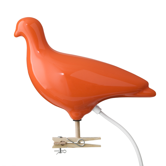 Pigeon Light Orange by Ed Carpenter