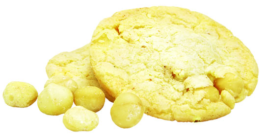 HBG Cookie Freisteller Macadamia SCplusV3
